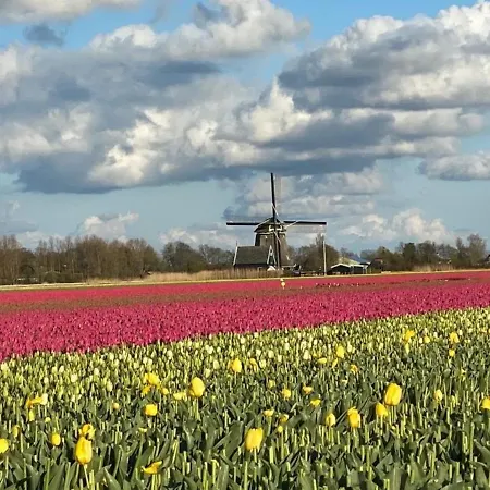 Traumlage Meerblick Nr 26 Ferienhaus 