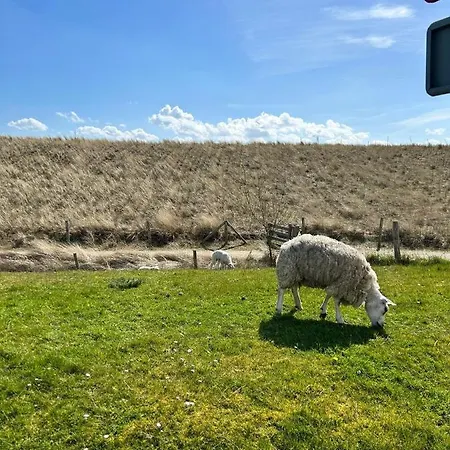 Traumlage Meerblick Nr 26 Ferienhaus 